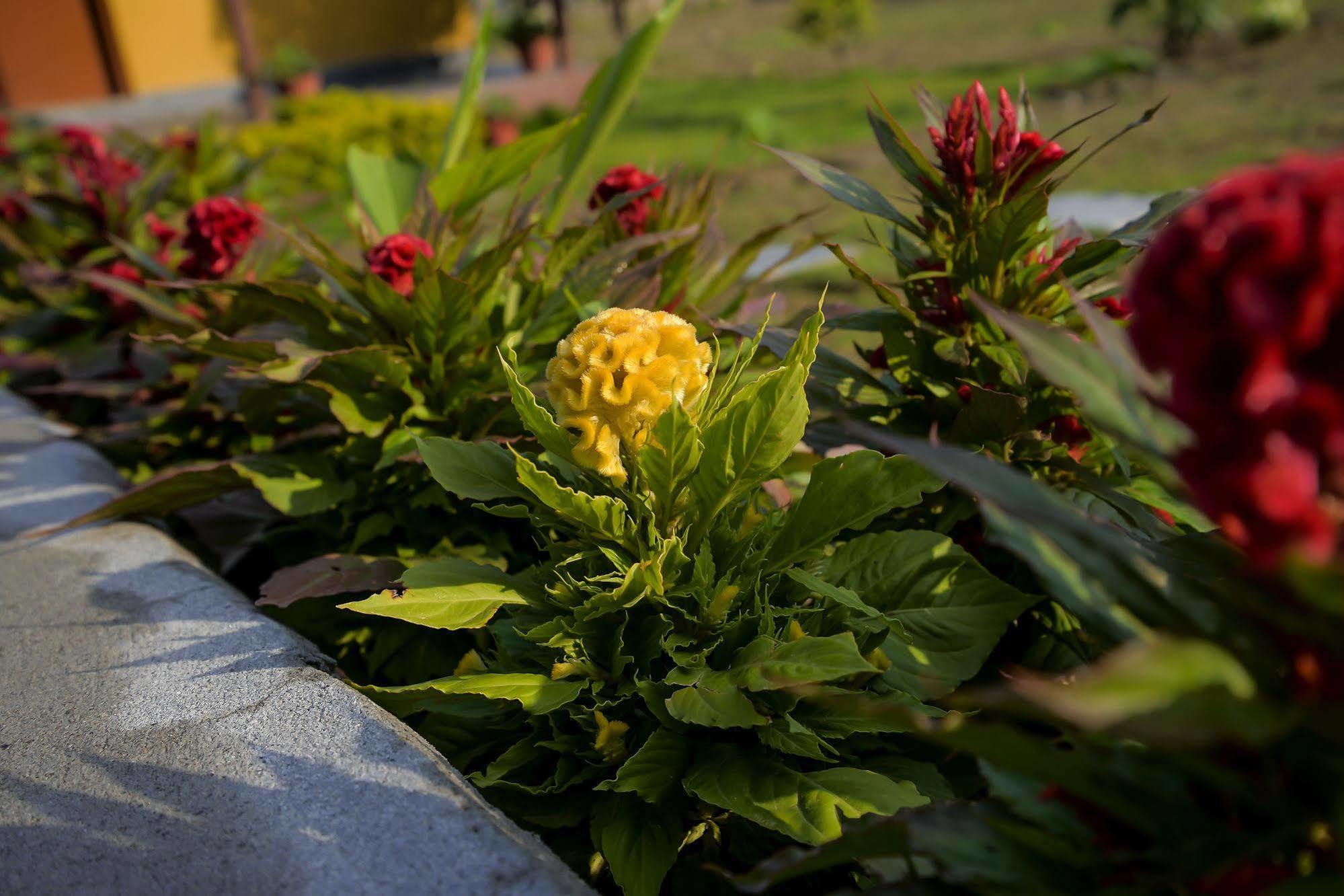 Hotel Lakefront Pokhara Kültér fotó